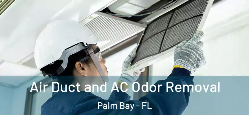 Air Duct and AC Odor Removal Palm Bay - FL