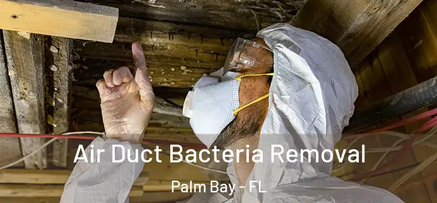 Air Duct Bacteria Removal Palm Bay - FL