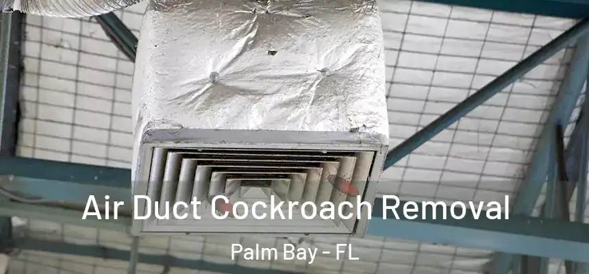  Air Duct Cockroach Removal Palm Bay - FL