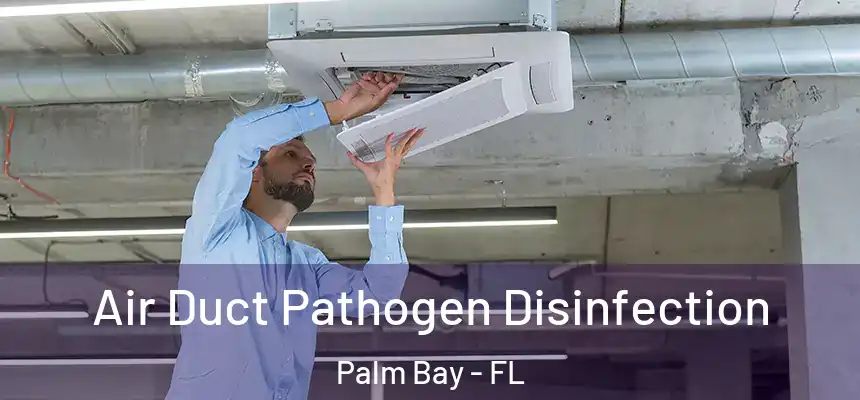 Air Duct Pathogen Disinfection Palm Bay - FL