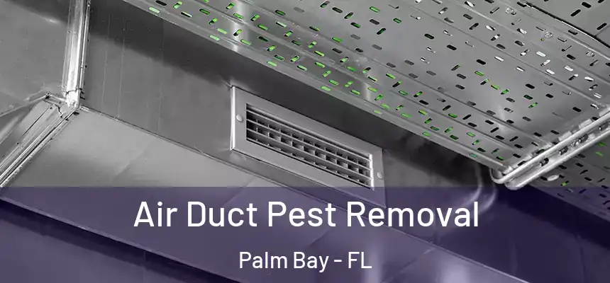  Air Duct Pest Removal Palm Bay - FL