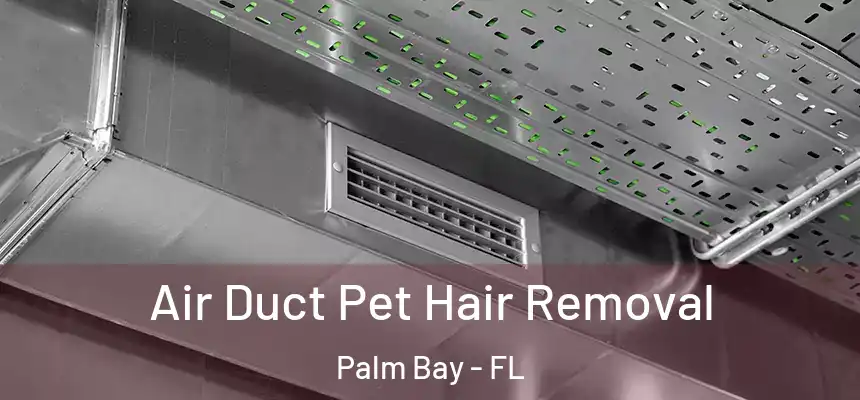 Air Duct Pet Hair Removal Palm Bay - FL