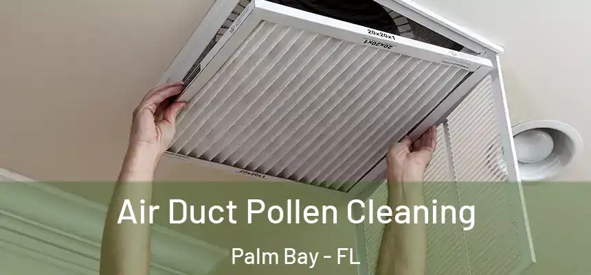  Air Duct Pollen Cleaning Palm Bay - FL