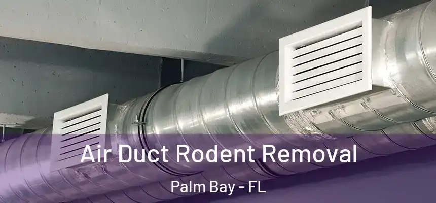 Air Duct Rodent Removal Palm Bay - FL