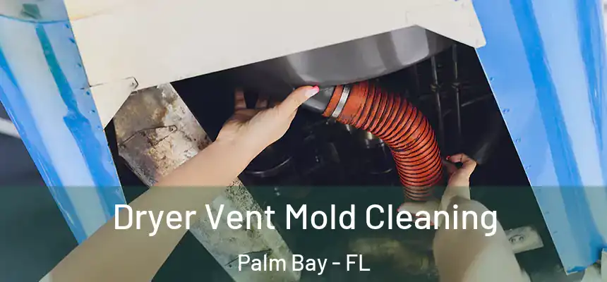 Dryer Vent Mold Cleaning Palm Bay - FL