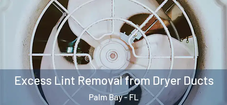 Excess Lint Removal from Dryer Ducts Palm Bay - FL