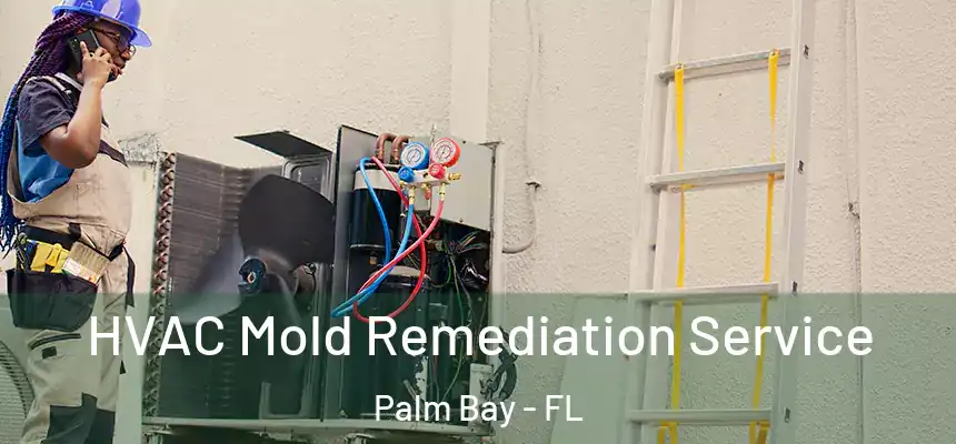 HVAC Mold Remediation Service Palm Bay - FL