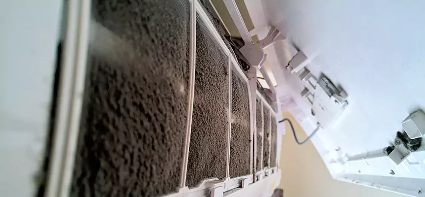 Preventive Air Duct Bacteria Removal in Palm Bay