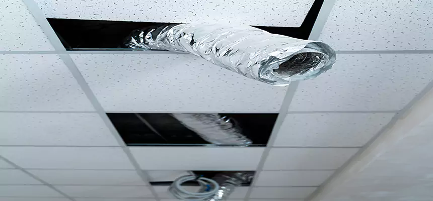 Our Air Duct Pet Hair Removal Services in Palm Bay, FL