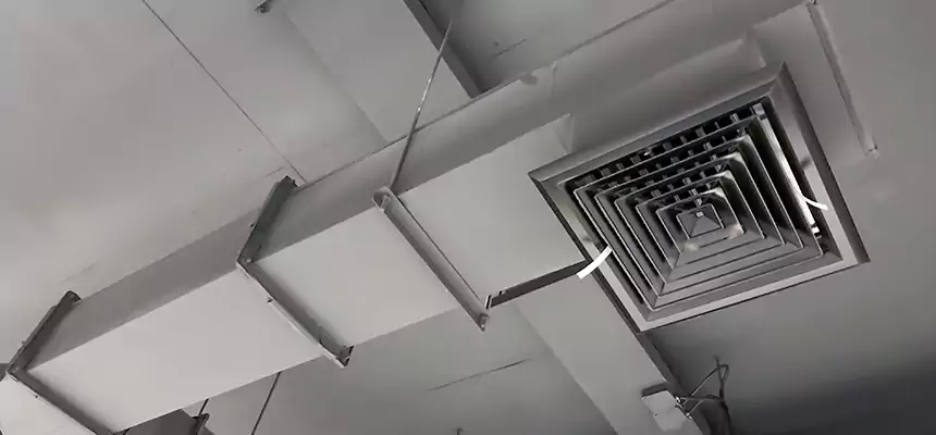 Our Rodent Droppings In Vents Services in Palm Bay, FL