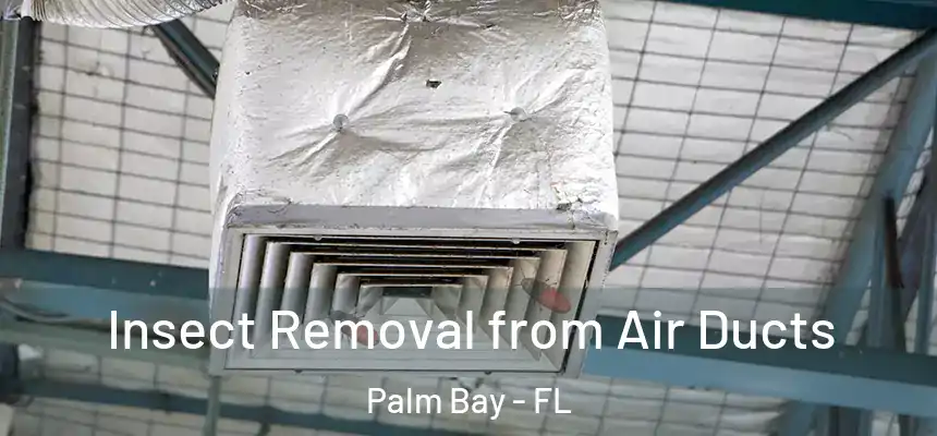  Insect Removal from Air Ducts Palm Bay - FL