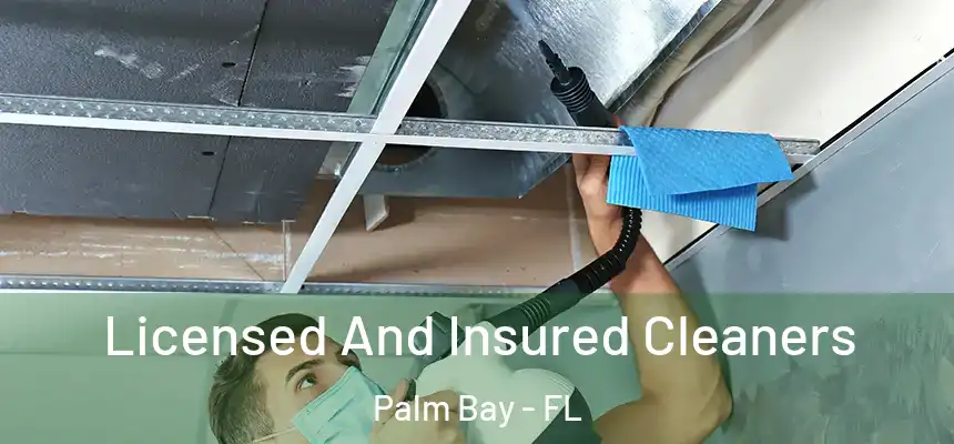  Licensed And Insured Cleaners Palm Bay - FL