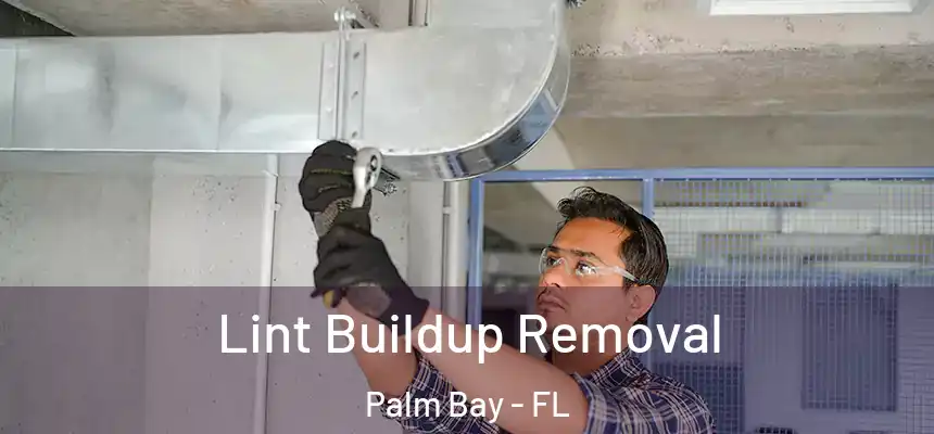 Lint Buildup Removal Palm Bay - FL