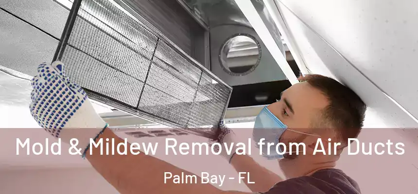 Mold & Mildew Removal from Air Ducts Palm Bay - FL
