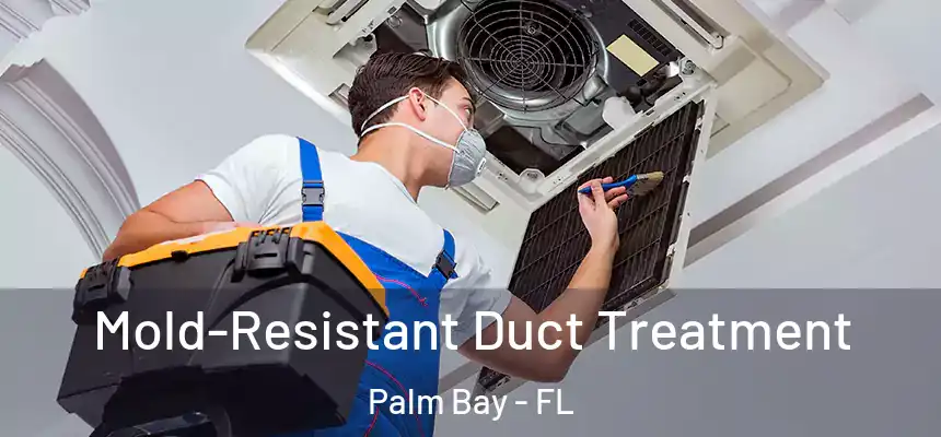  Mold-Resistant Duct Treatment Palm Bay - FL