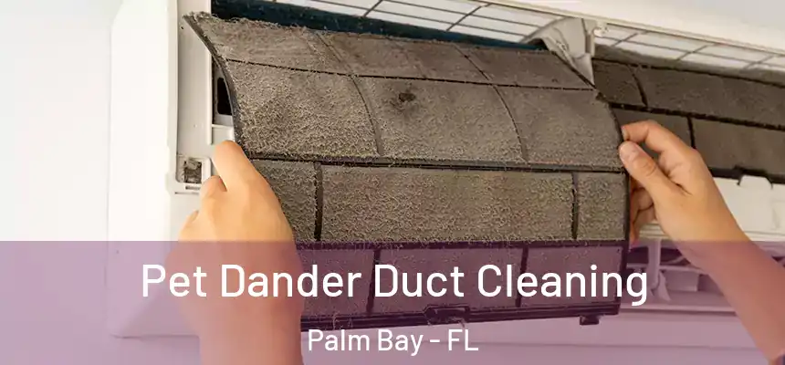 Pet Dander Duct Cleaning Palm Bay - FL