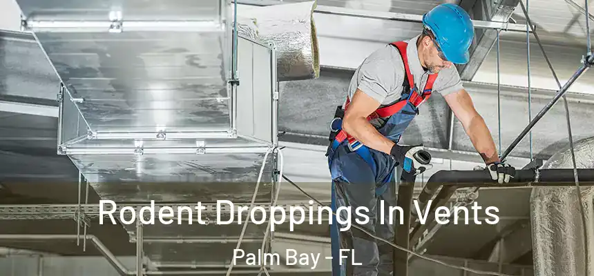  Rodent Droppings In Vents Palm Bay - FL