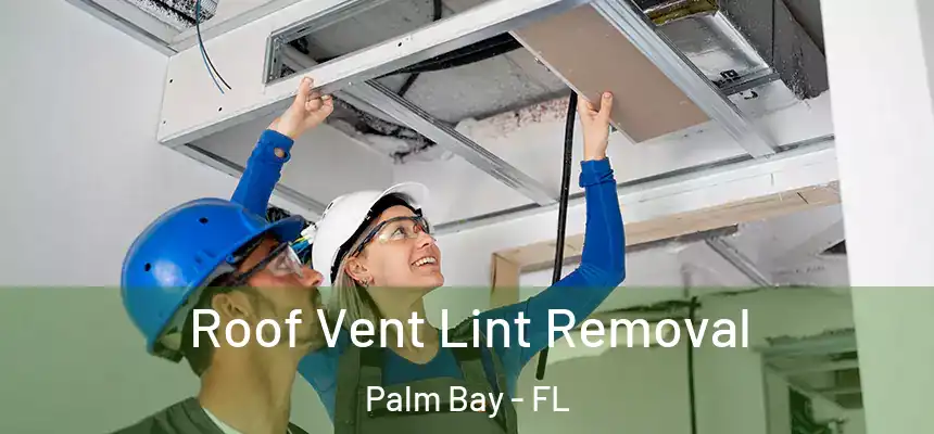 Roof Vent Lint Removal Palm Bay - FL