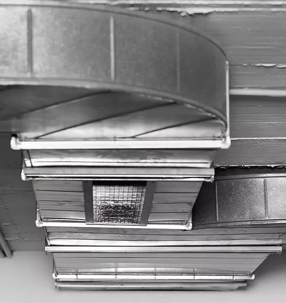 Professional Air Duct Pet Hair Removal in Palm Bay, FL