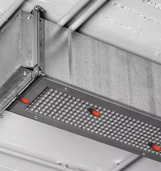 Affordable Insect Removal from Air Ducts in Palm Bay, FL