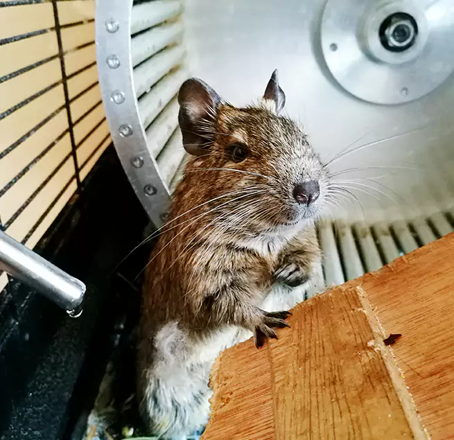 Why Homeowners & Businesses Trust Us Palm Bay, FL