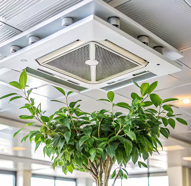 Why Homeowners & Businesses Trust Us in Palm Bay, FL?