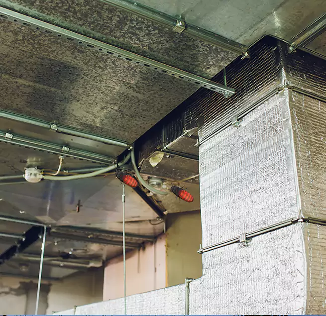 Why Homeowners & Businesses Trust Us Palm Bay, FL?