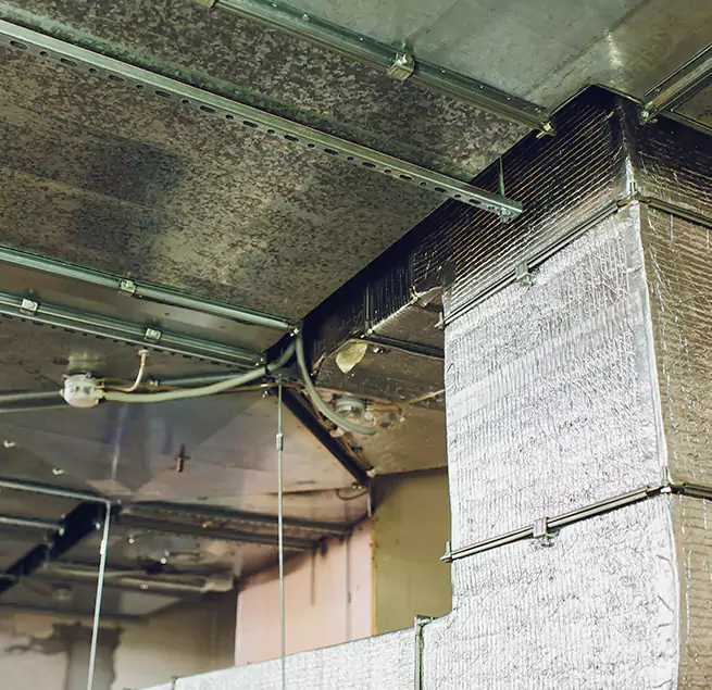 Why Homeowners & Businesses Trust Us in Palm Bay, FL?