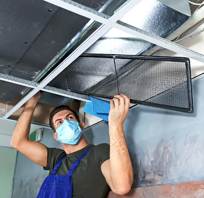 Why Homeowners Businesses Trust Us  in Palm Bay, FL?